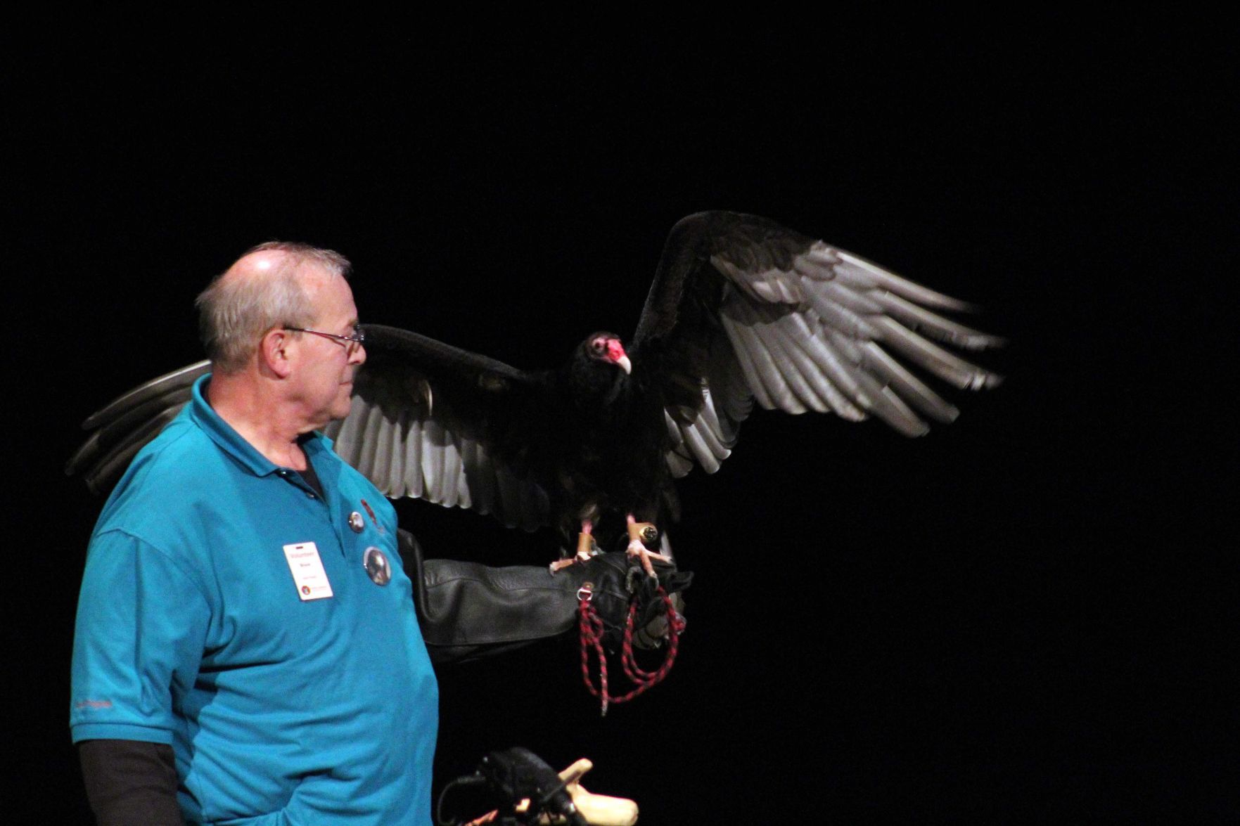 012320-sauk-news-eagle016.jpg